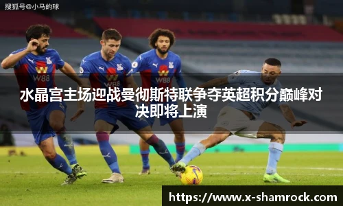 水晶宫主场迎战曼彻斯特联争夺英超积分巅峰对决即将上演
